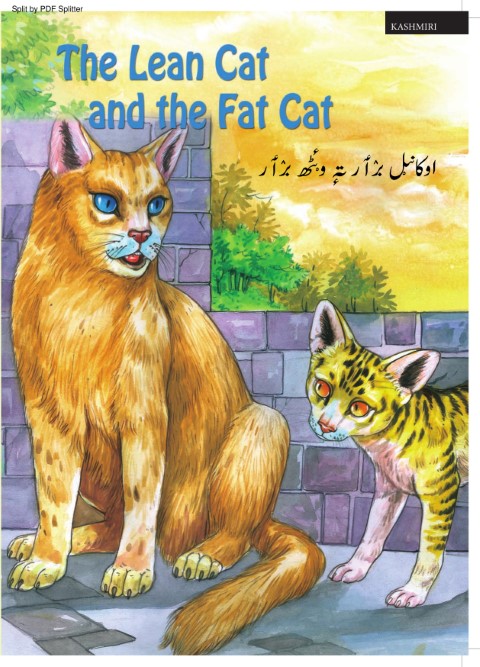 The Lean Cat and the Fat Cat